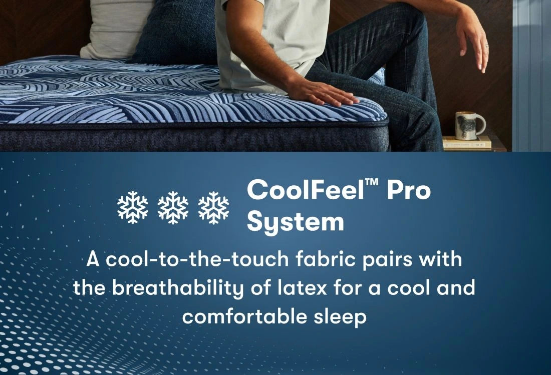 Serta Perfect Sleeper Pro New Paris Medium