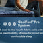 Serta Perfect Sleeper Pro Valais Plush Pillowtop