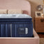 Stearns & Foster® Estate Soft Pillow Top-Tempur-Sealy-Sleeping Giant