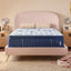 Stearns & Foster® Estate Soft Pillow Top-Tempur-Sealy-Sleeping Giant